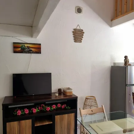 Loft Avec Mezzanine, Limitrophe Monaco Apartment *